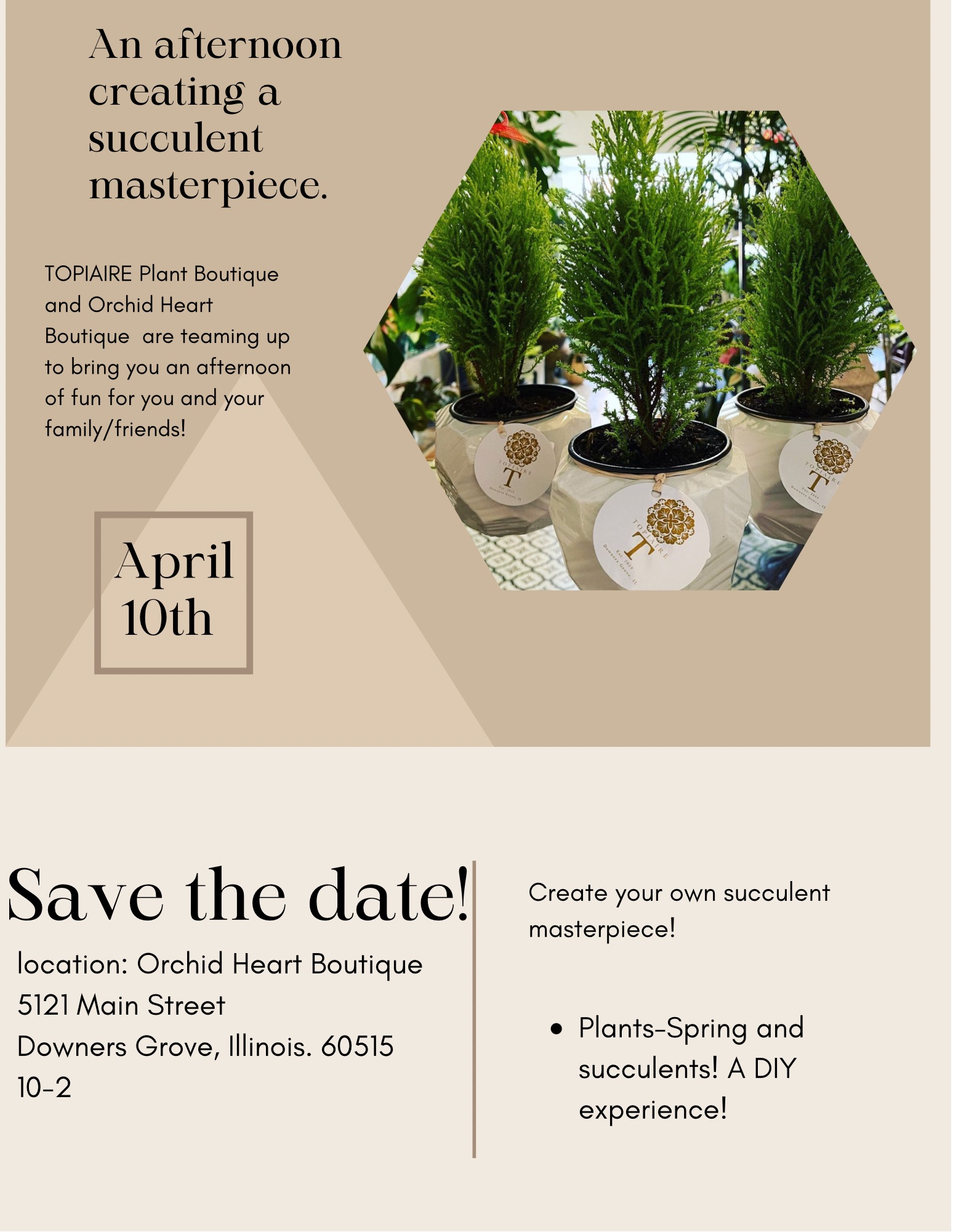 Topaire and Orchid Heart Bring you- a day of succulents! flyer