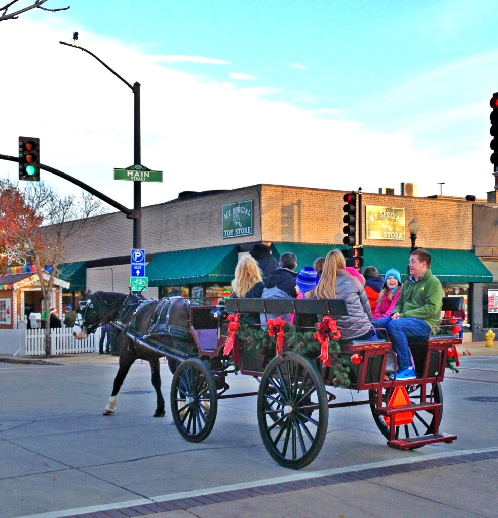 Wagonette Ride